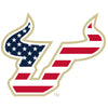 USF Bulls - Primary Stars and Stripes Single Layer Dimensional