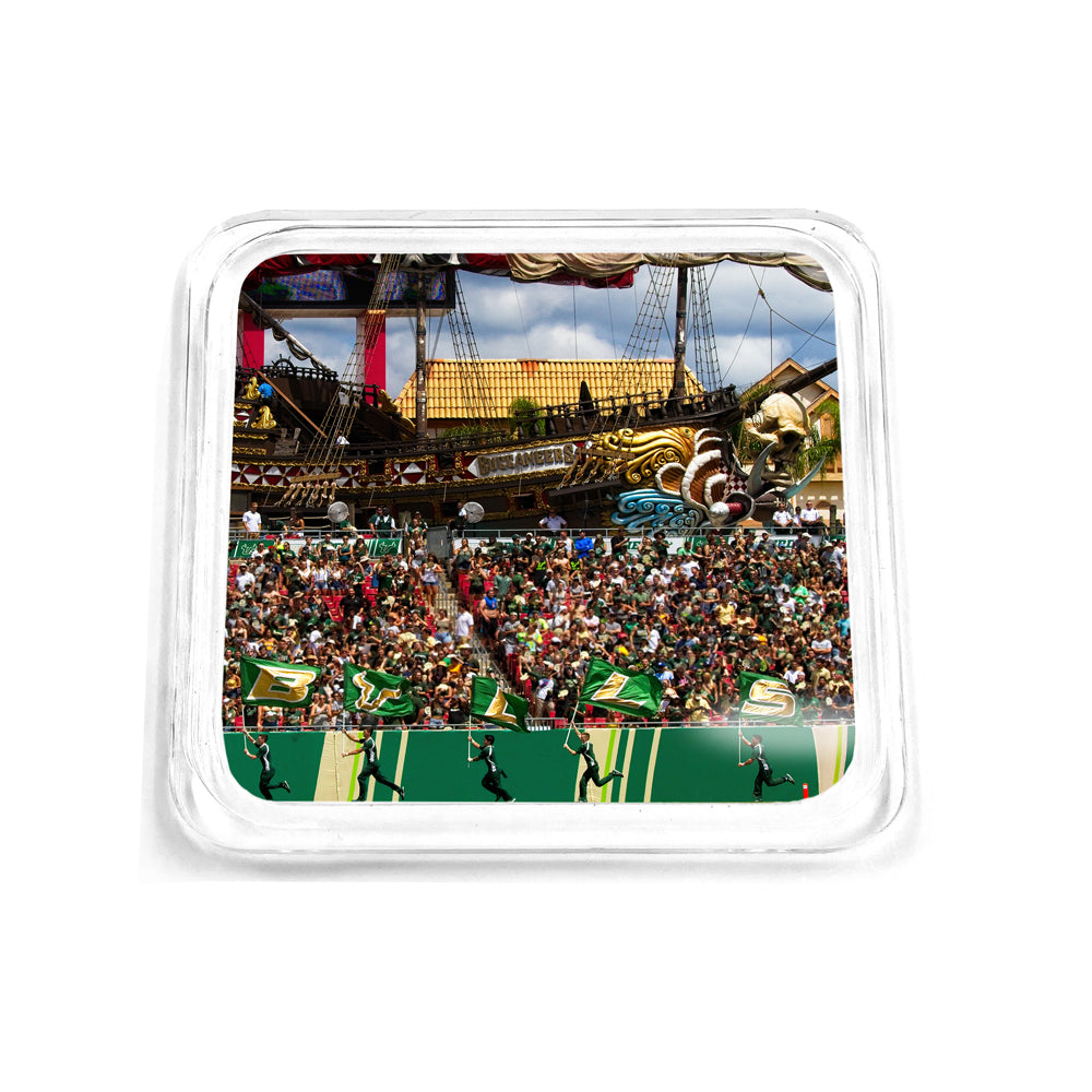 USF Bulls - Bulls in Ray Jay Drink Coaster