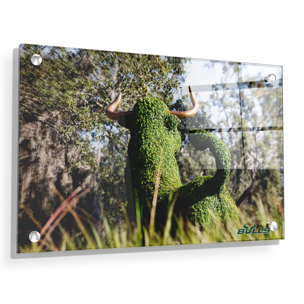 USF Bulls - Bull Watch - College Wall Art #Canvas