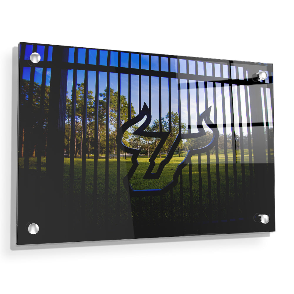 USF Bulls - Bulls Country - College Wall Art #Canvas