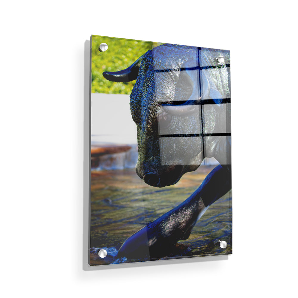 USF Bulls - Bulls statue close up w seal - College Wall Art #Canvas