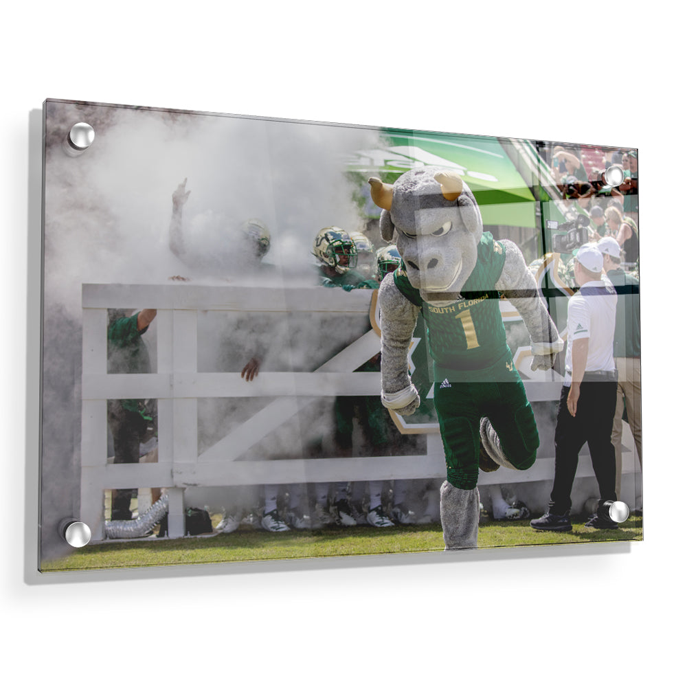 USF Bulls -Bulls Stampeed - College Wall Art #Canvas