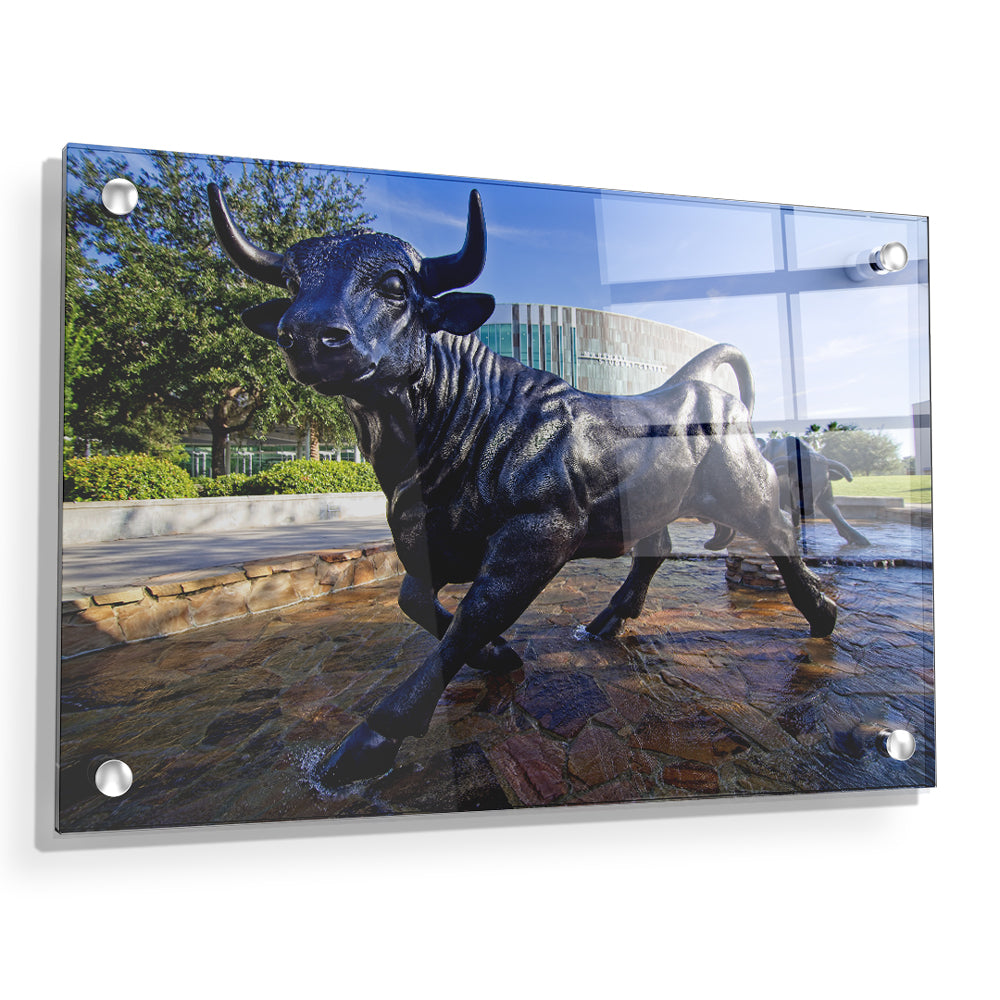 USF Bulls -Mashal Student Center - College Wall Art #Canvas 