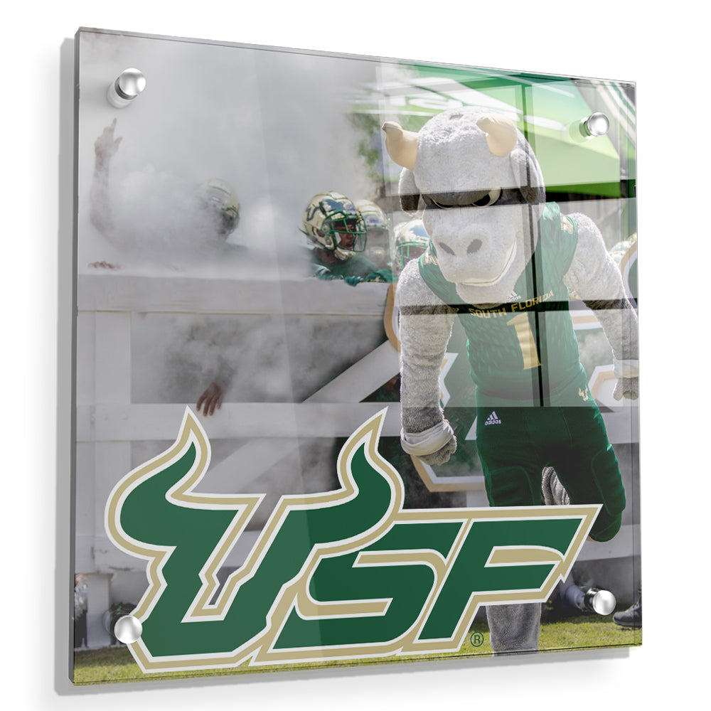 USF Bulls - USF Bulls Stampeed - College Wall Art #Canvas