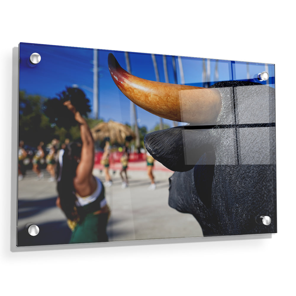 USF Bulls - Bulls Watch - College Wall Art #Canvas