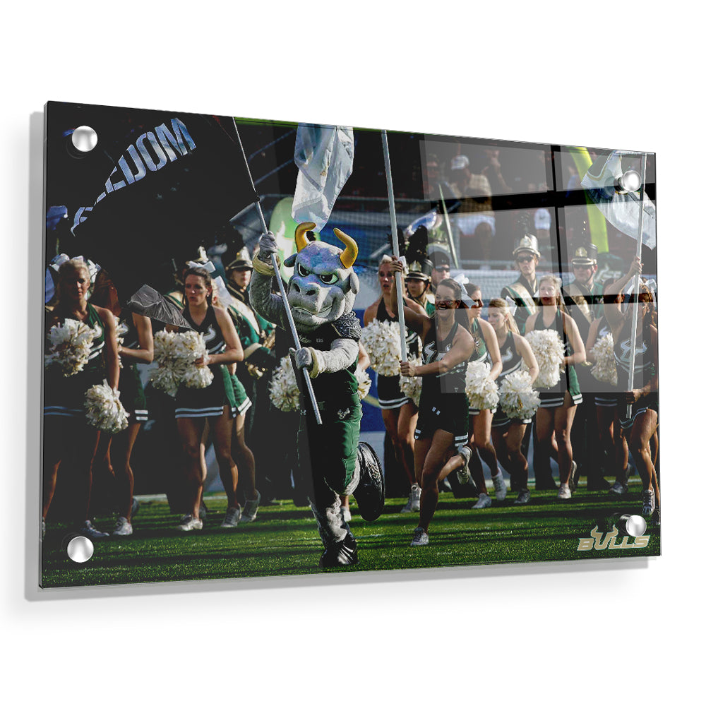 USF Bulls - Freedom -College Wall Art #Canvas