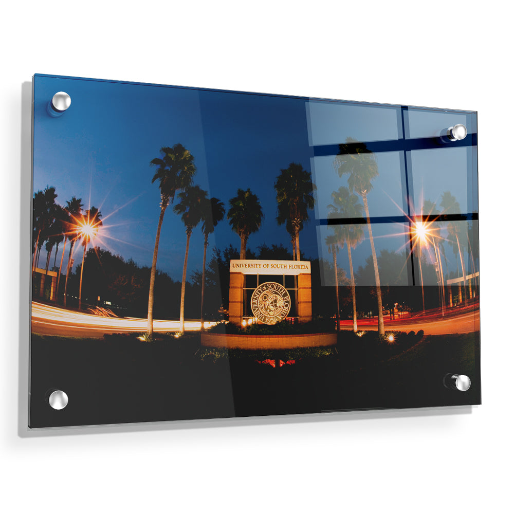 USF Bulls - USF Night Entrance - College Wall Art #Canvas