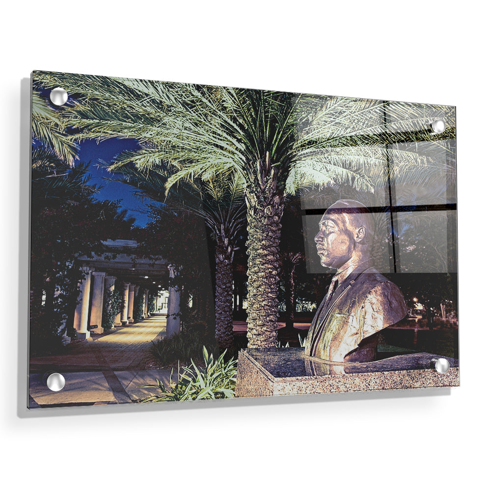 USF Bulls - MLK Night - College Wall Art #Canvas