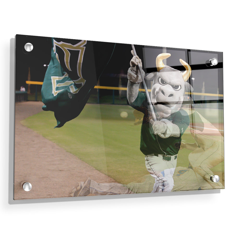 USF Bulls - Bulls Baseball - College Wall Art #Canvas