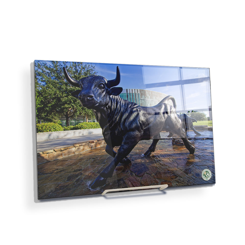 USF Bulls -Mashal Student Center - College Wall Art #Canvas 
