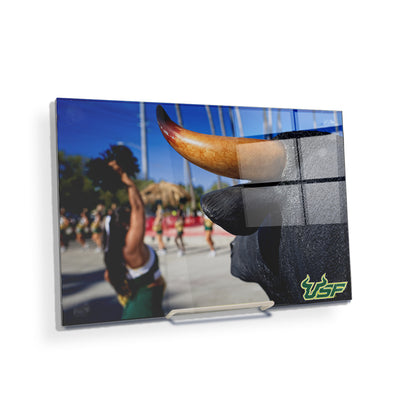 USF Bulls - Bulls Watch - College Wall Art #Acrylic Mini