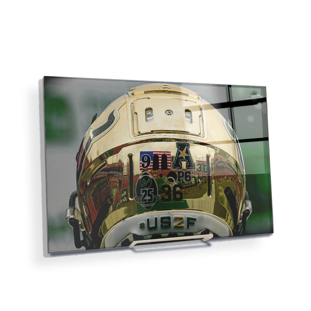 USF Bulls - South Florida Football - Football Helmet