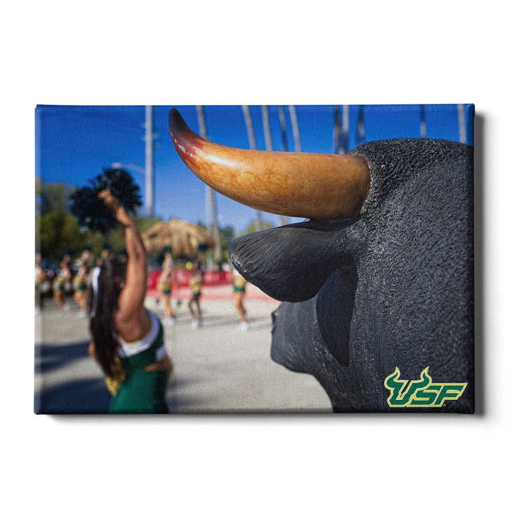 USF Bulls - Bulls Watch - College Wall Art #Canvas