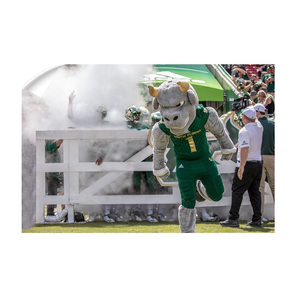 USF Bulls -Bulls Stampeed - College Wall Art #Canvas