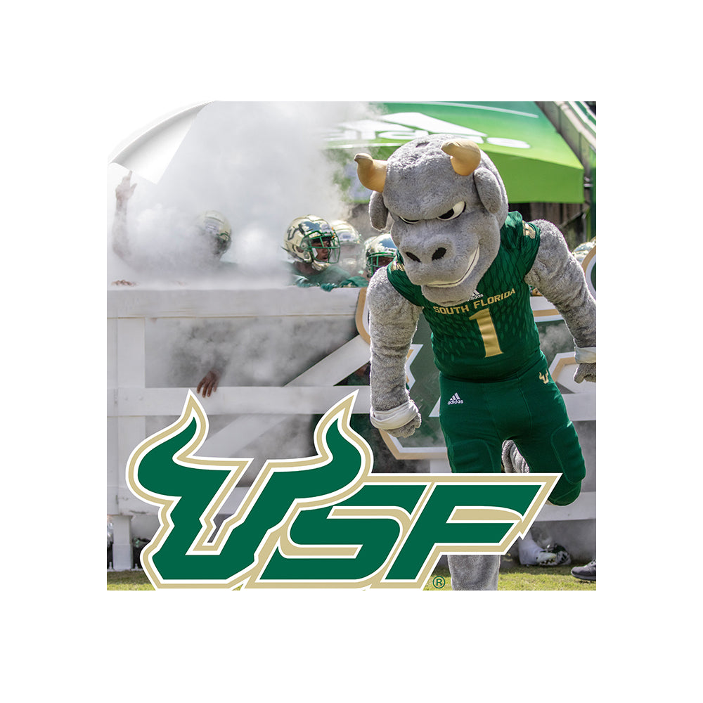 USF Bulls - USF Bulls Stampeed - College Wall Art #Canvas