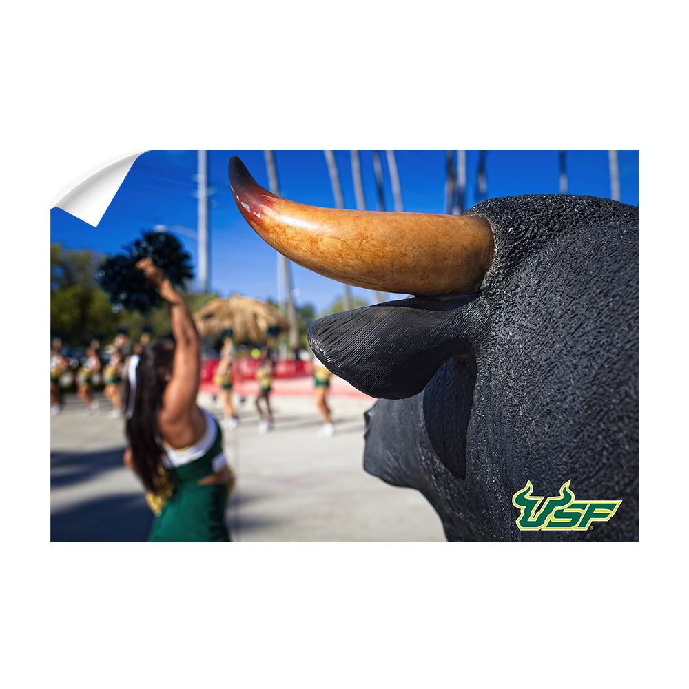 USF Bulls - Bulls Watch - College Wall Art #Canvas