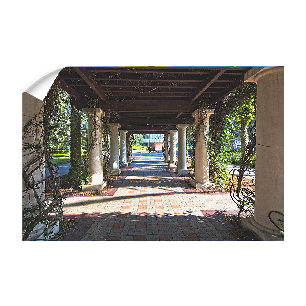 USF Bulls - The Trestle - College Wall Art #Canvas