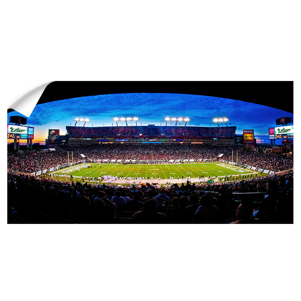 USF Bulls - Hurricanes vs Bulls Pano - College Wall Art #Canvas