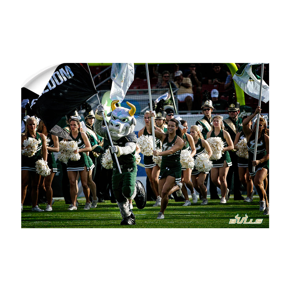 USF Bulls - Freedom -College Wall Art #Canvas