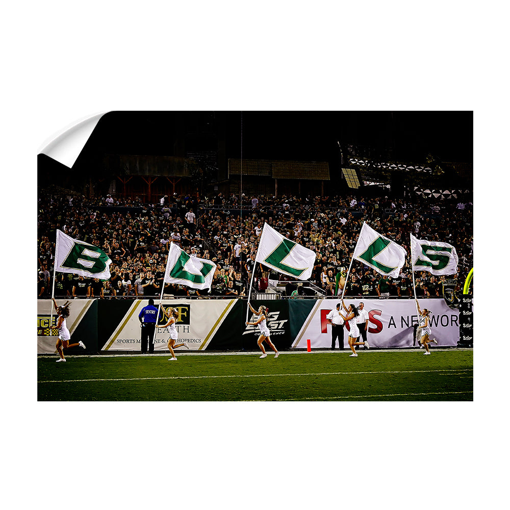 USF Bulls - Bulls Flags - College Wall Art #Canvas