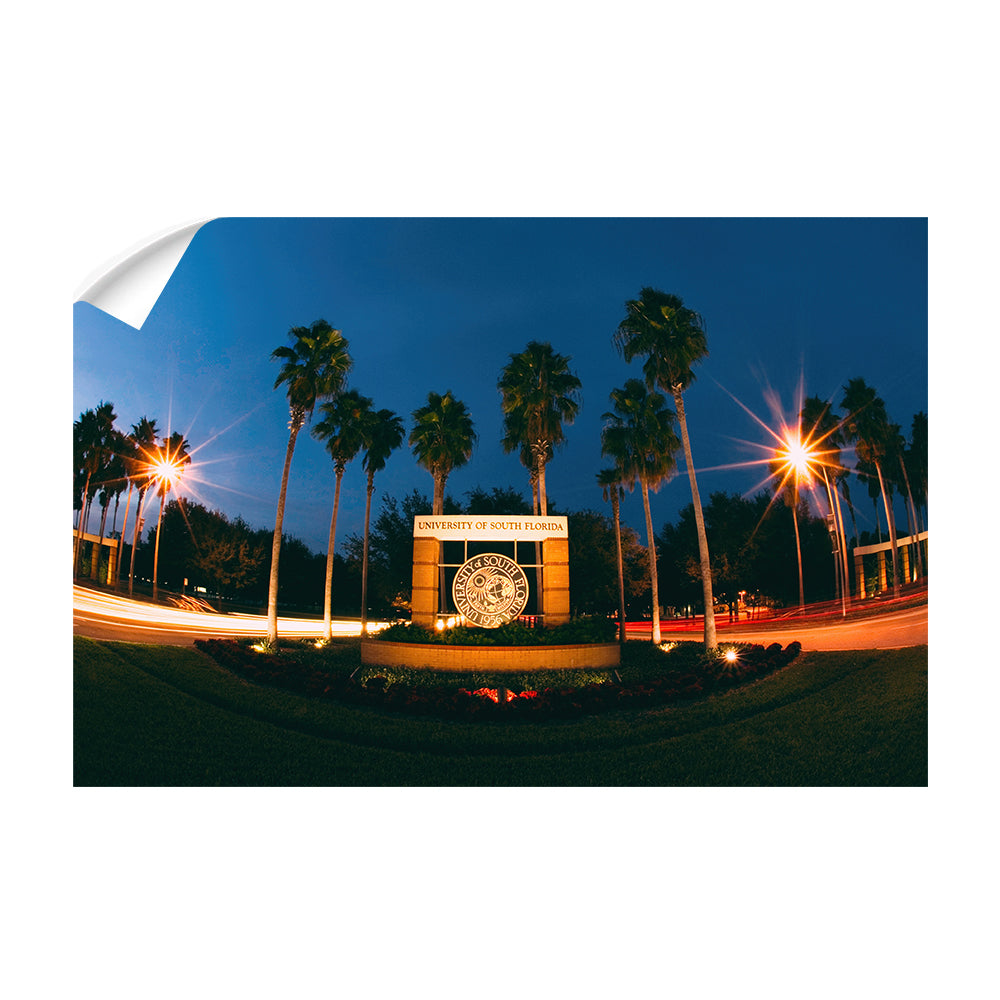 USF Bulls - USF Night Entrance - College Wall Art #Canvas