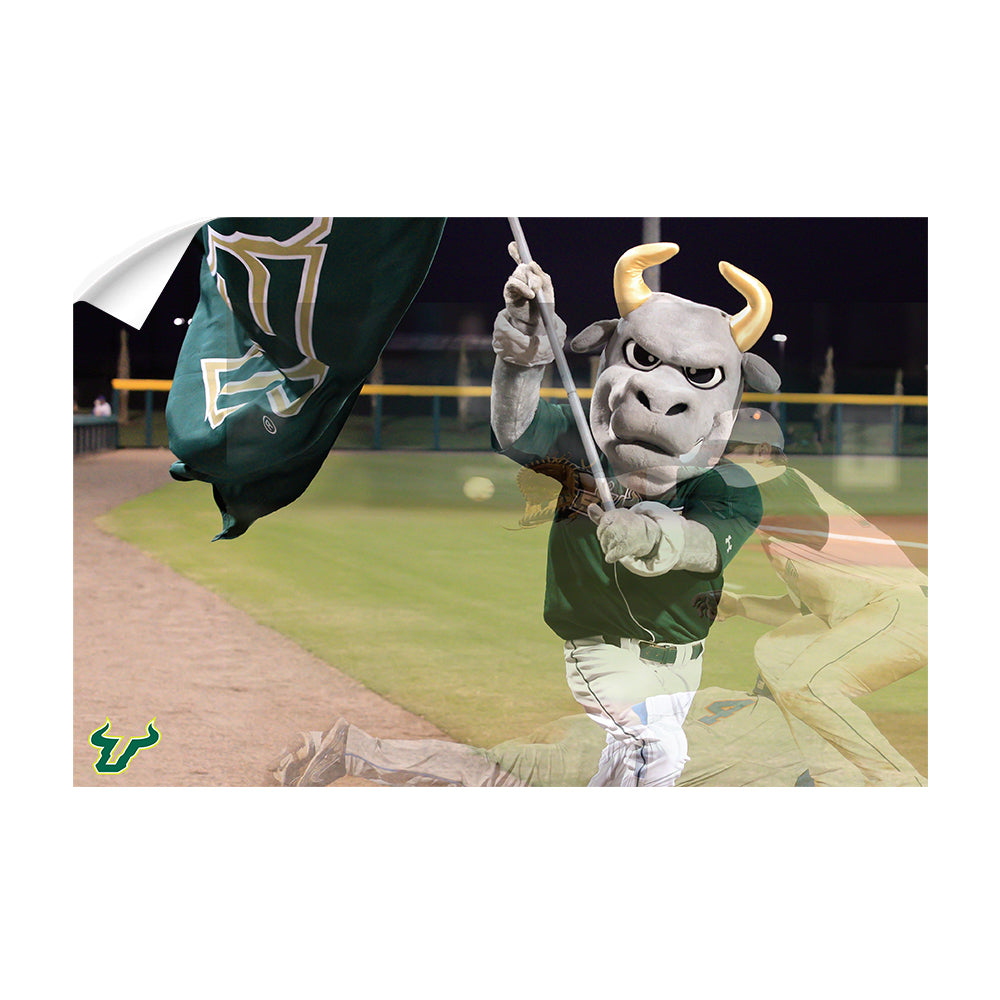 USF Bulls - Bulls Baseball - College Wall Art #Canvas