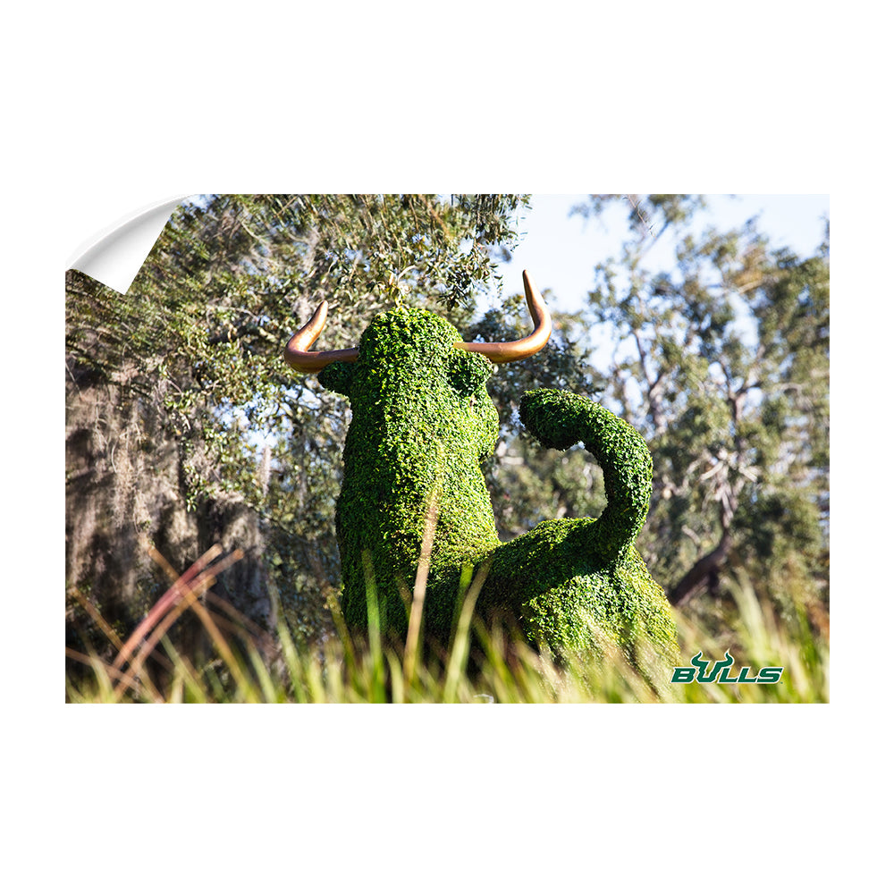 USF Bulls - Bull Watch - College Wall Art #Canvas