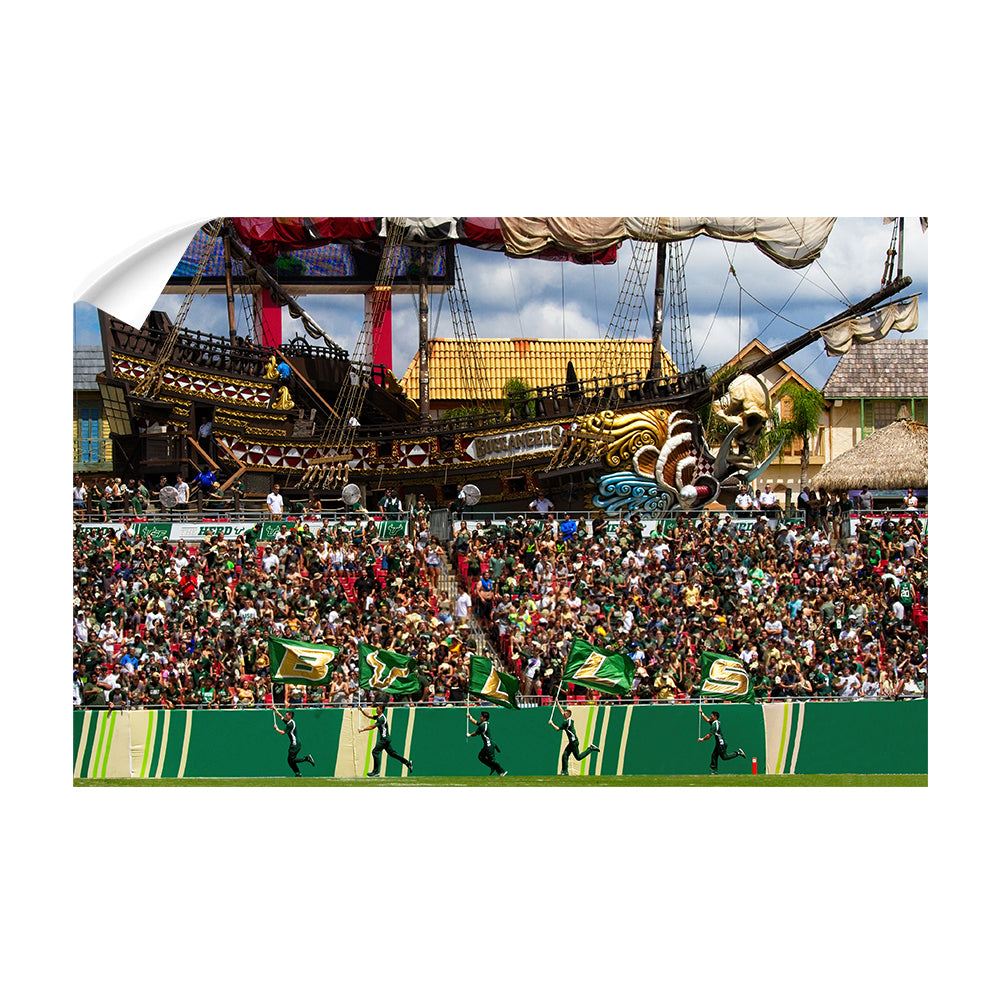USF Bulls - Bulls in RayJay - College Wall  Art #Canvas