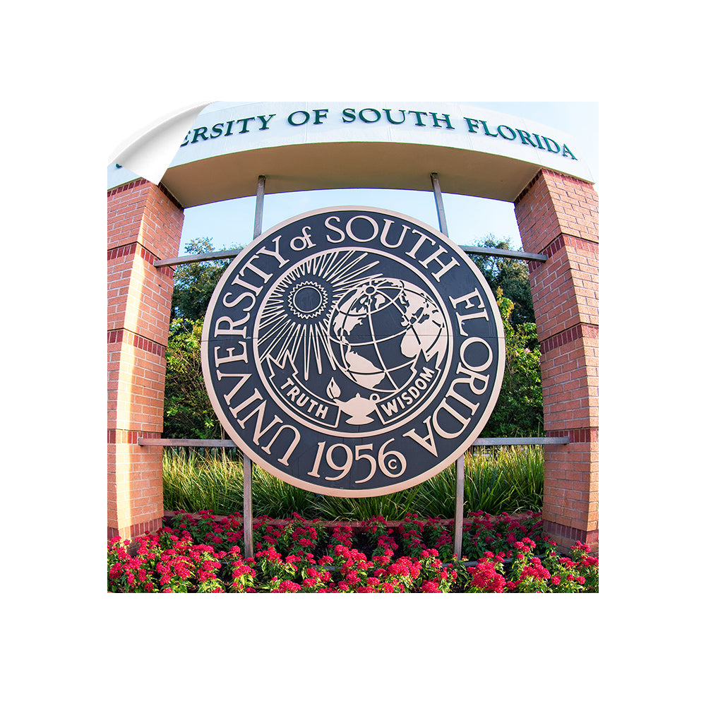 USF Bulls - University of South Florida - College Wall Art #canvas