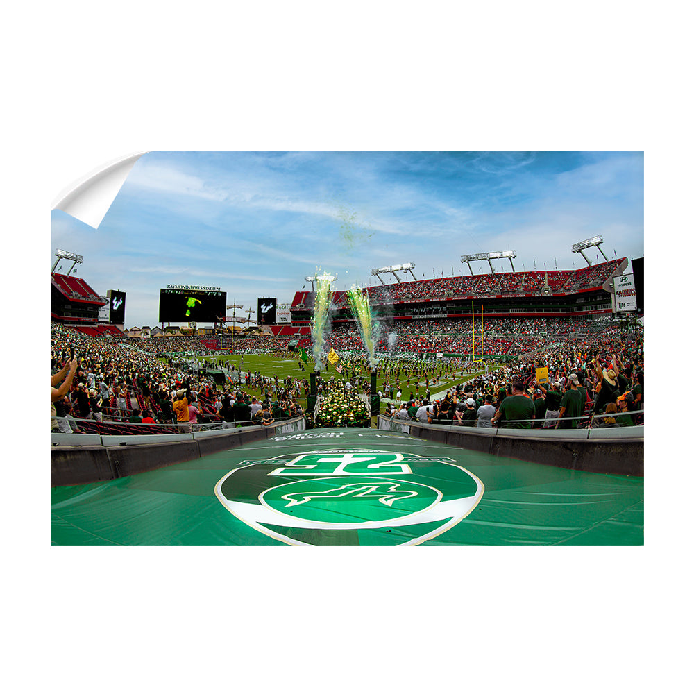 USF Bulls - Enter USF Bulls 25th Football Anniversary - College Wall Art #Canvas