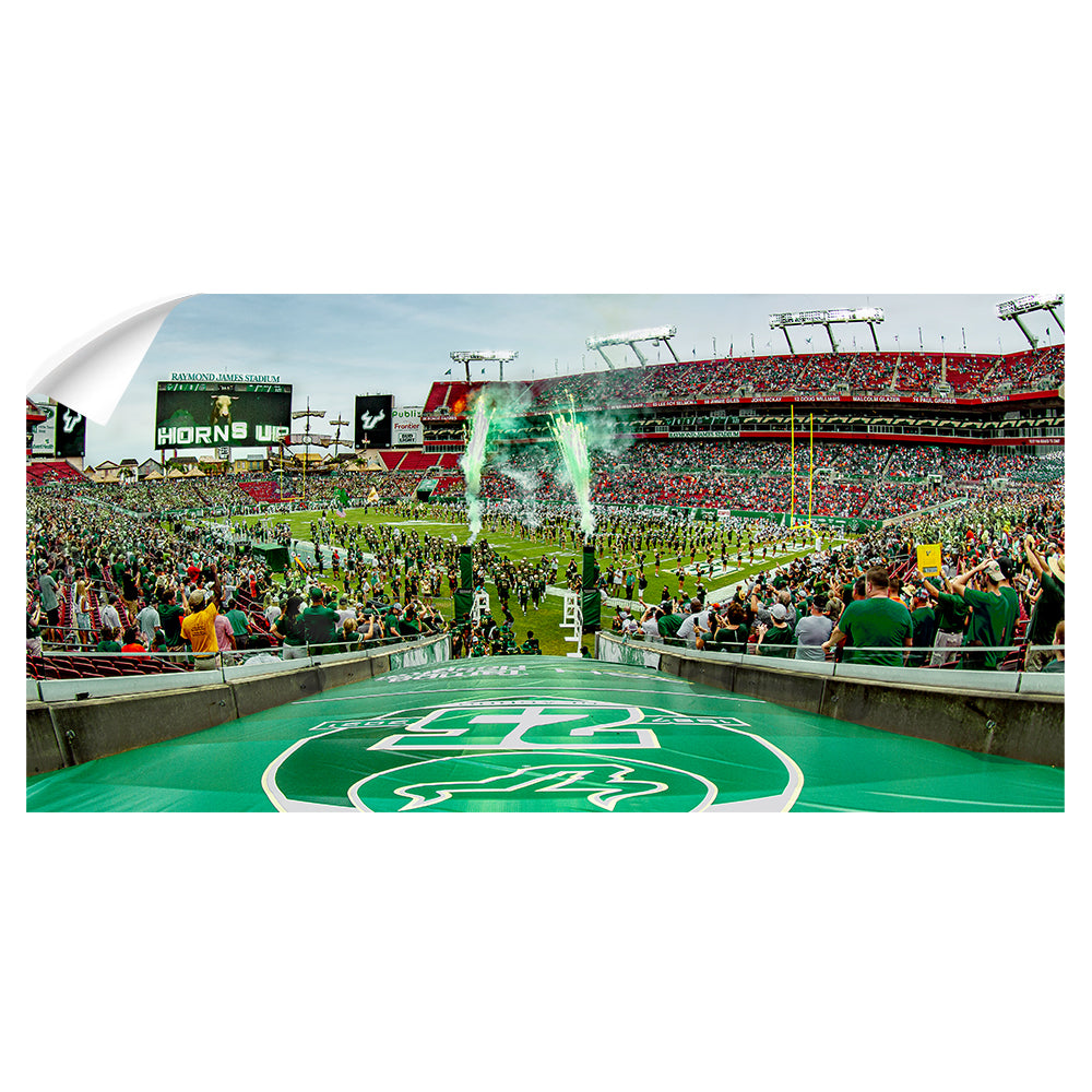 USF Bulls - Horns Up Grand Entrance Panoramic - College Wall Art #Canvas