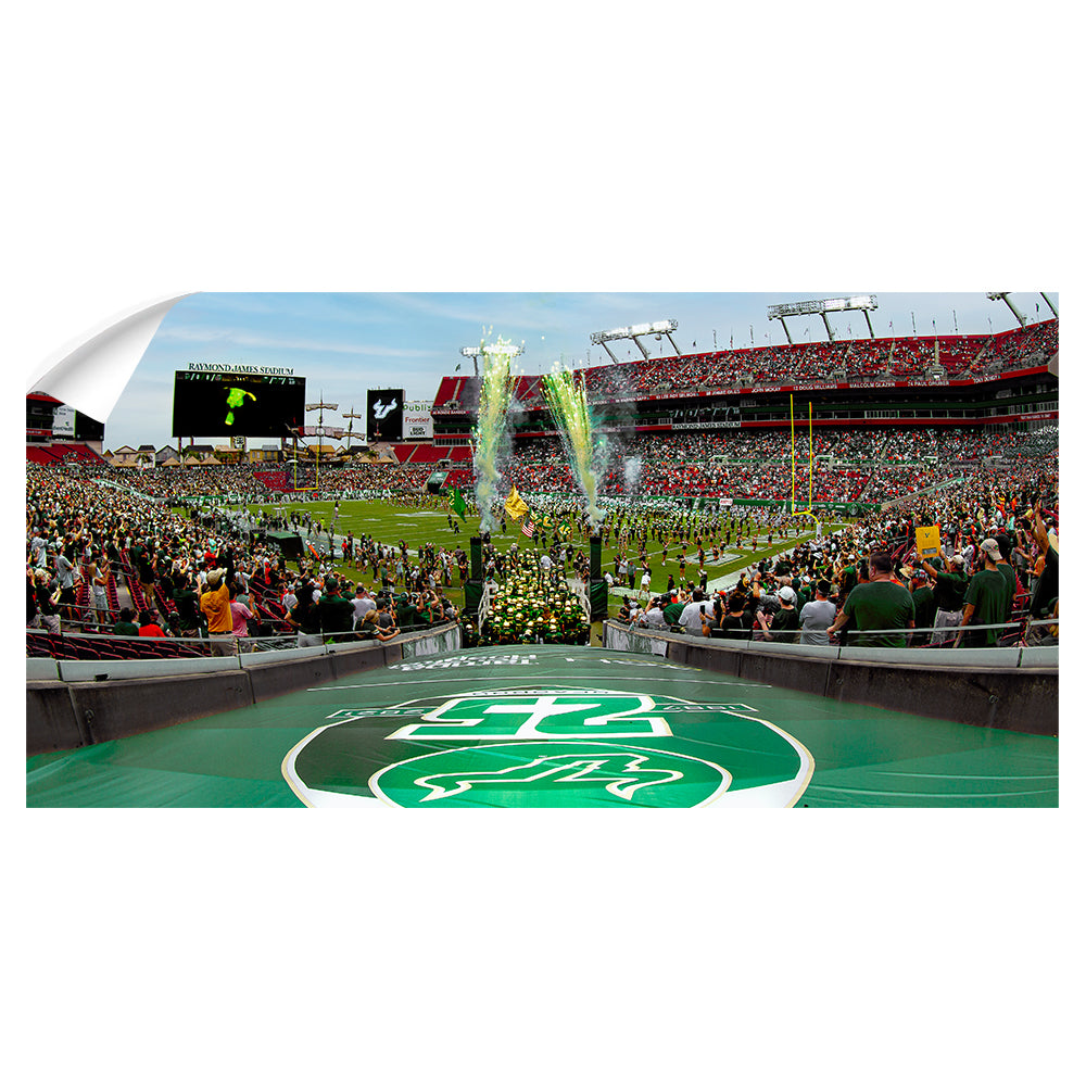 USF Bulls - Enter USF Bulls 25th Football Anniversary Panoramic - College Wall Art #Canvas
