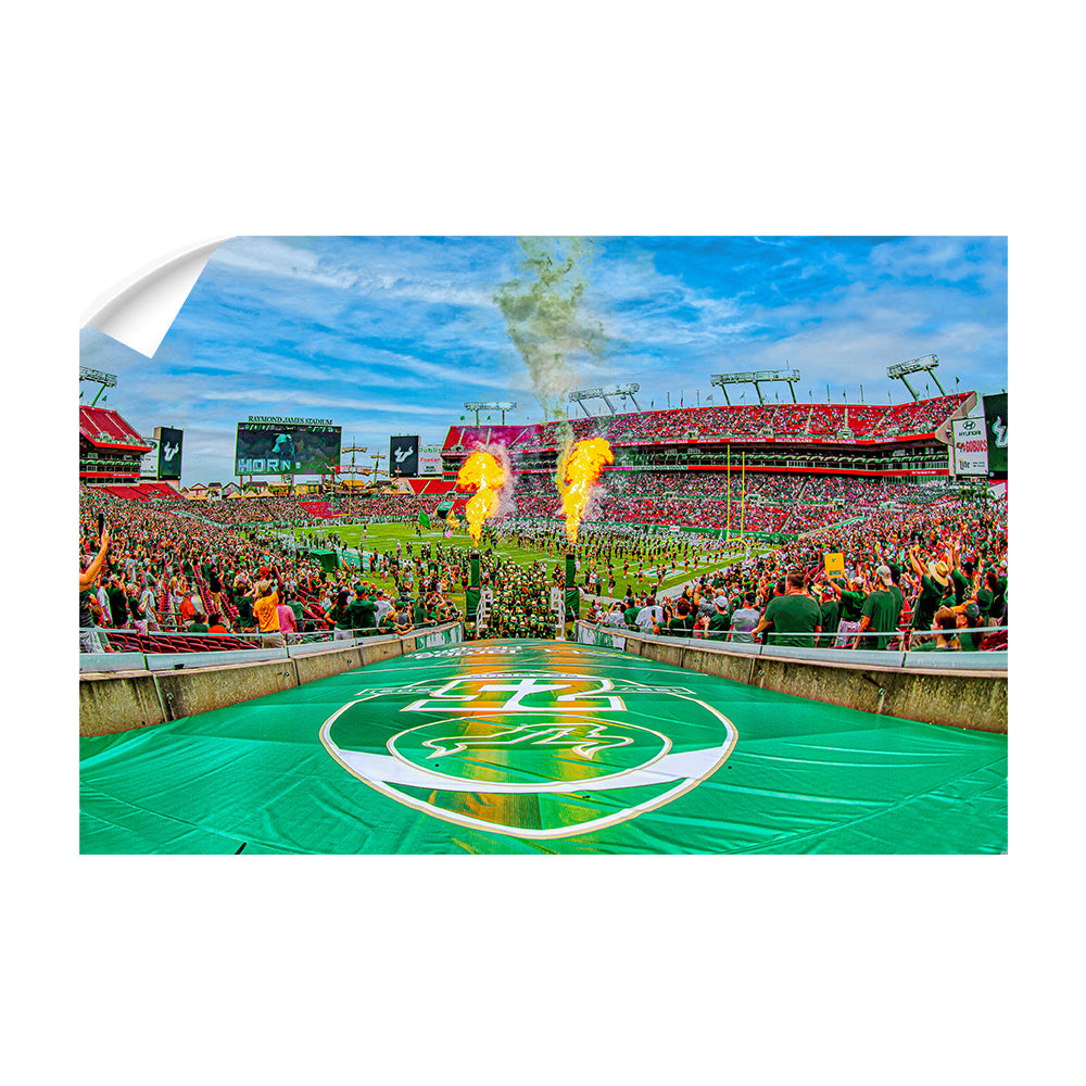 USF Bulls - Enter Bulls - College Wall Art  #Canvas