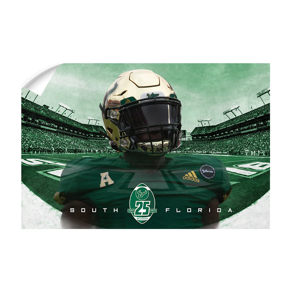 USF Bulls - South Florida 25 Years - College Wall Art #Canvas