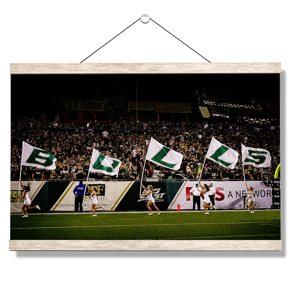 USF Bulls - Bulls Flags - College Wall Art #Canvas