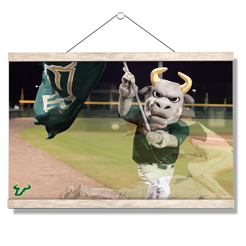 USF Bulls - Bulls Baseball - College Wall Art #Canvas