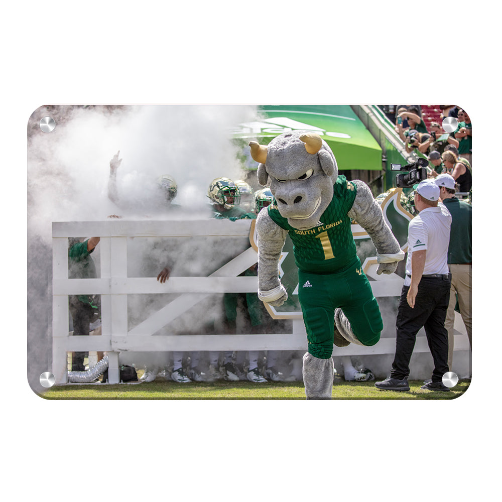 USF Bulls -Bulls Stampeed - College Wall Art #Canvas