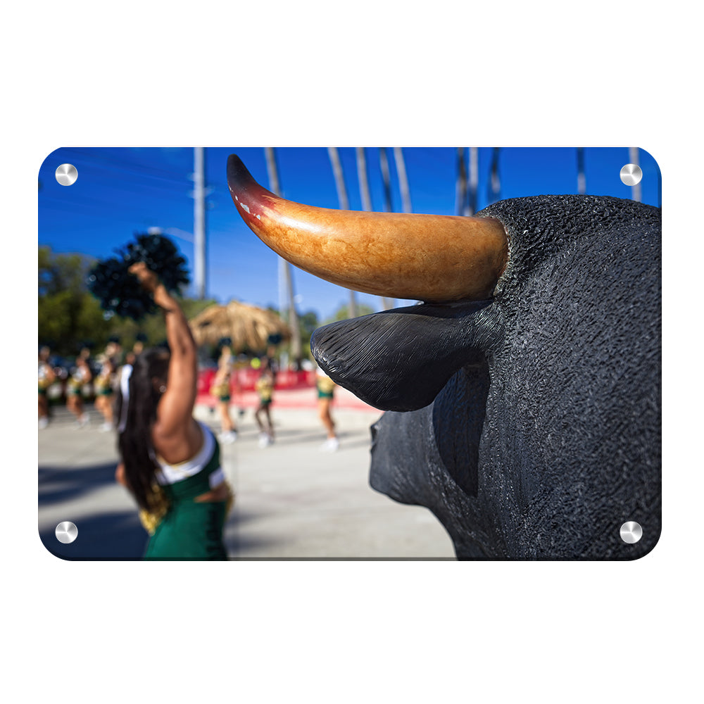 USF Bulls - Bulls Watch - College Wall Art #Canvas