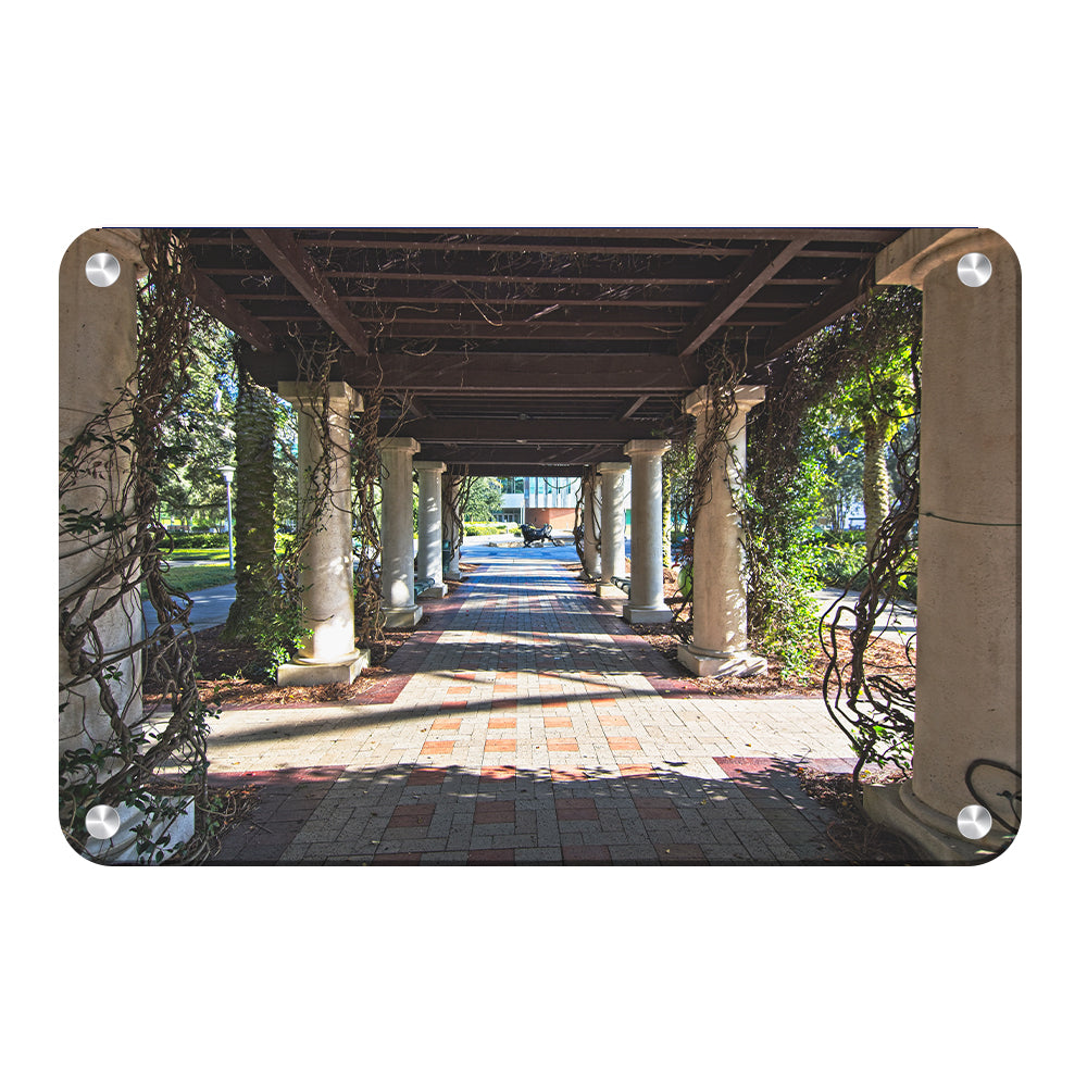 USF Bulls - The Trestle - College Wall Art #Canvas