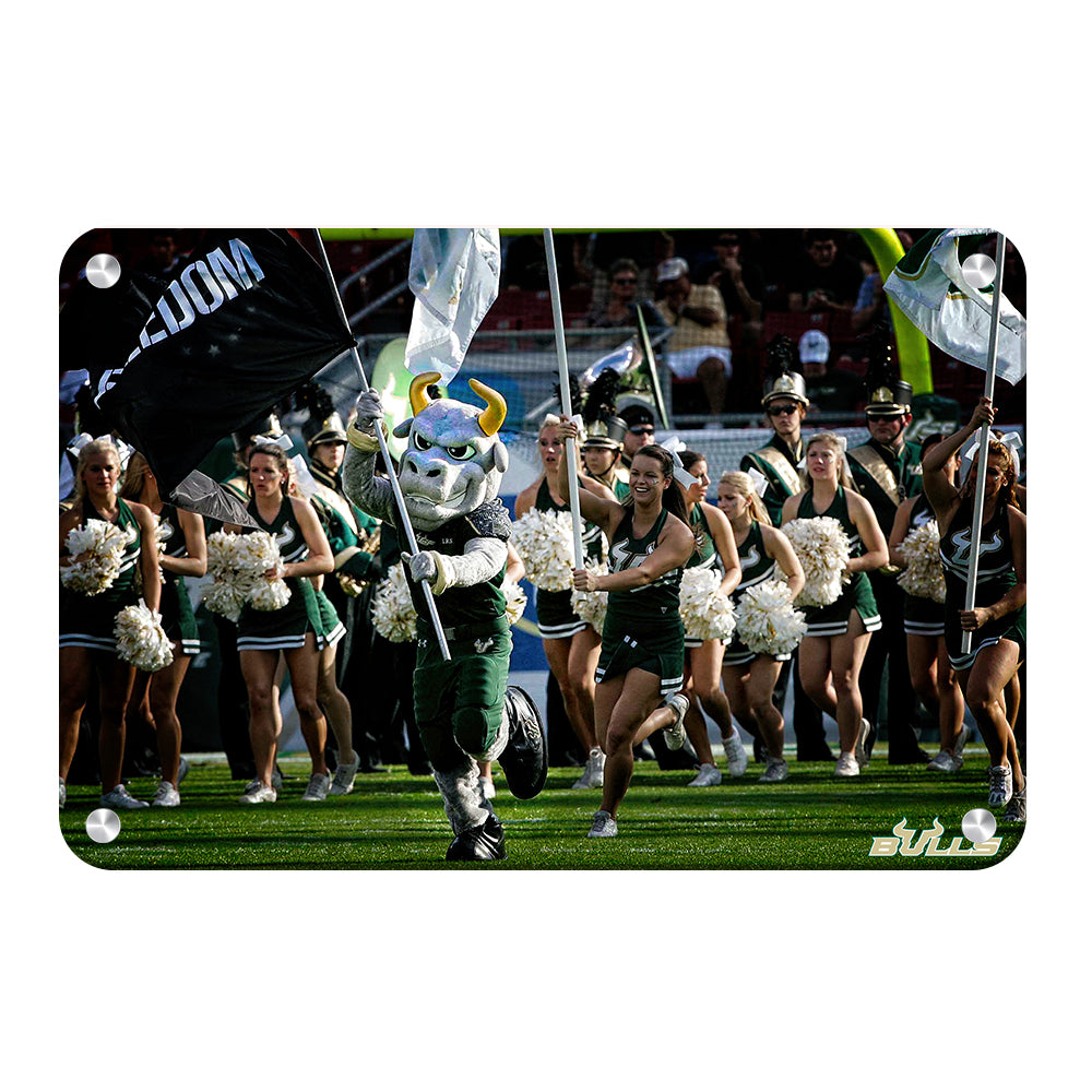 USF Bulls - Freedom -College Wall Art #Canvas