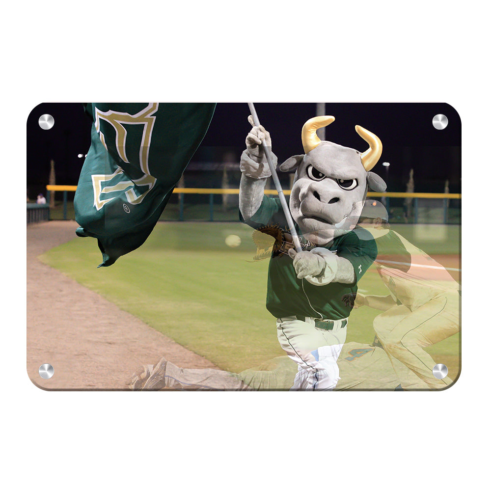 USF Bulls - Bulls Baseball - College Wall Art #Canvas