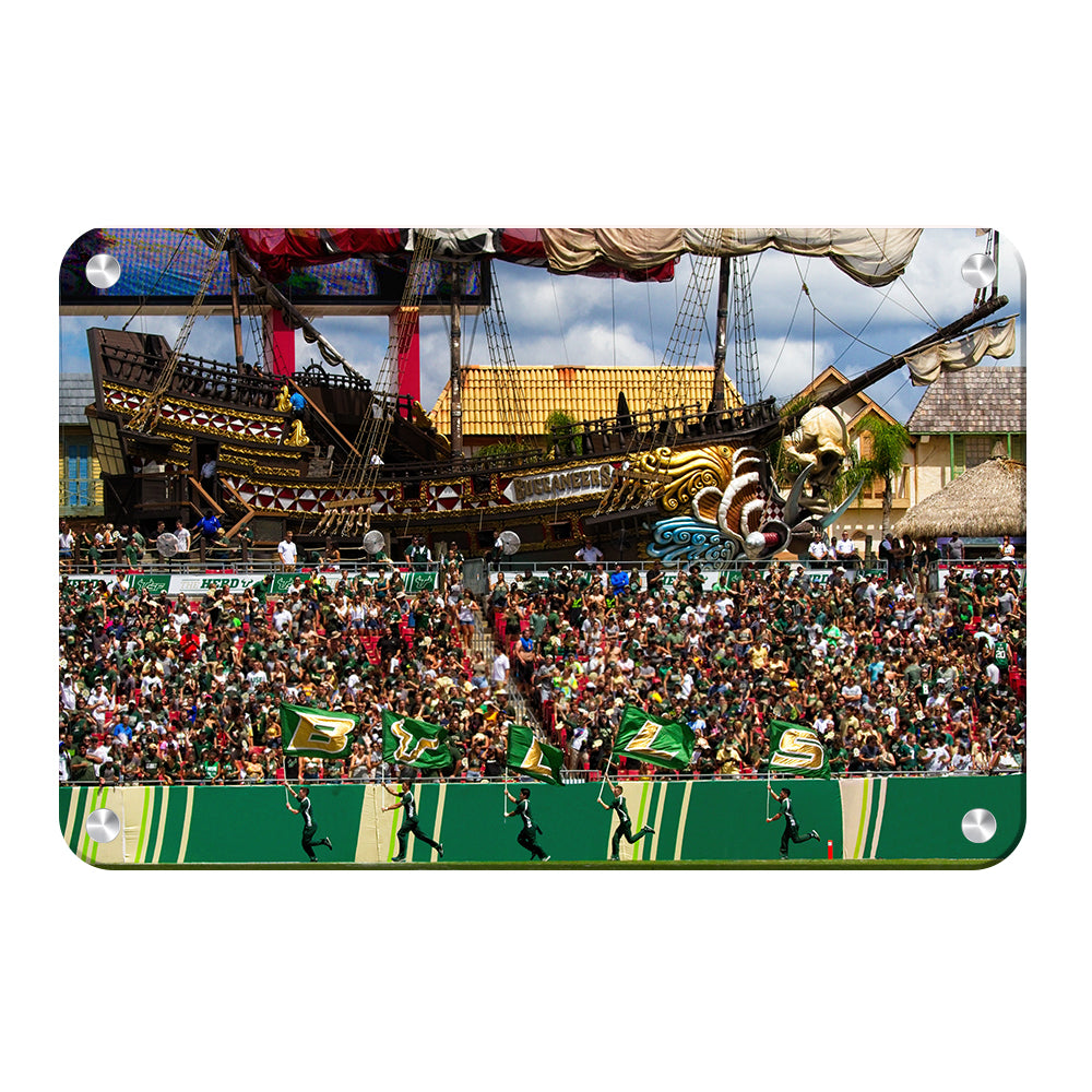 USF Bulls - Bulls in RayJay - College Wall  Art #Canvas
