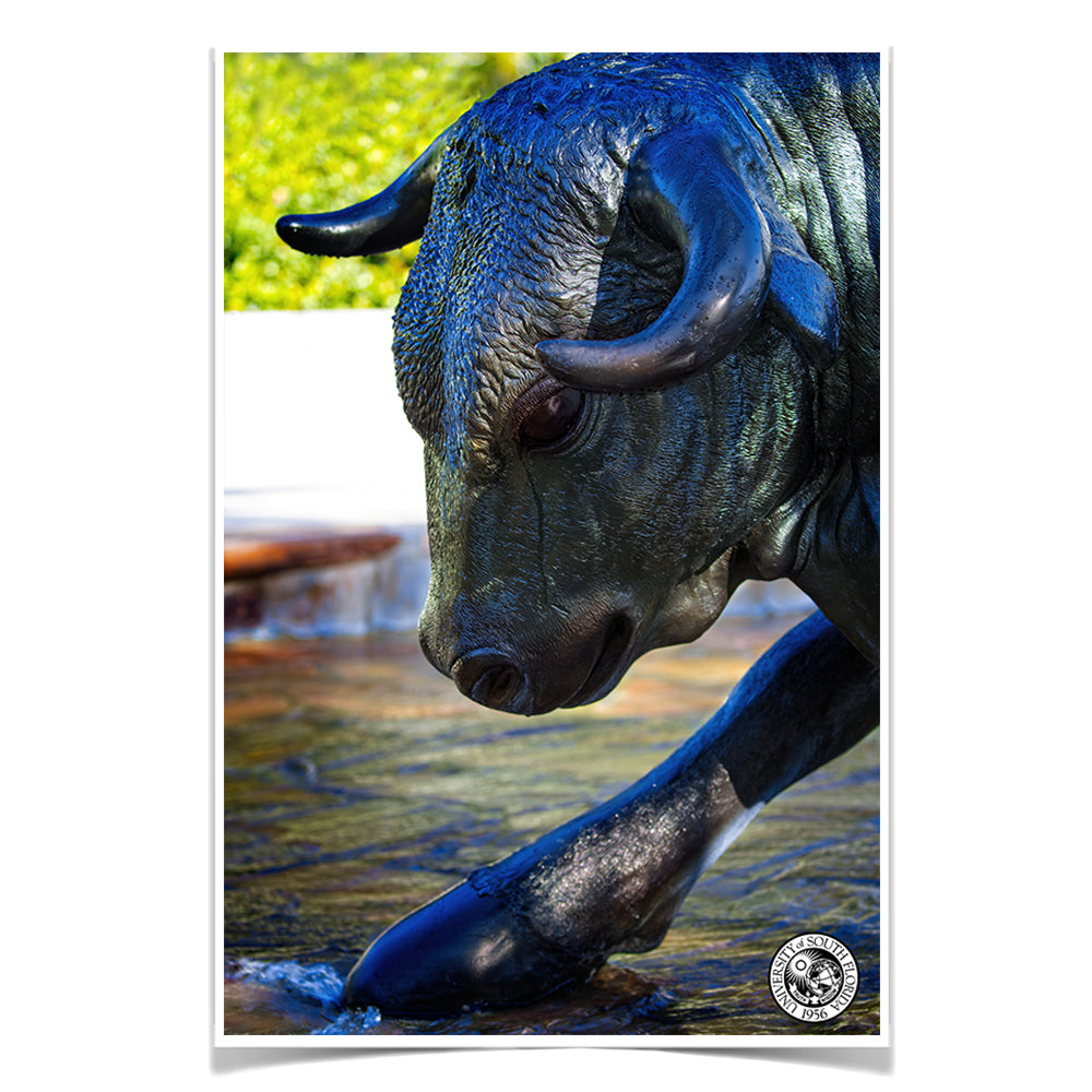 USF Bulls - Bulls statue close up w seal - College Wall Art #Canvas