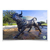 USF Bulls -Mashal Student Center - College Wall Art #Poster