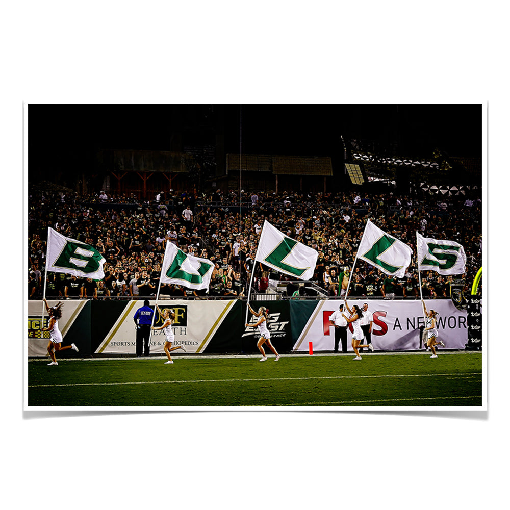 USF Bulls - Bulls Flags - College Wall Art #Canvas