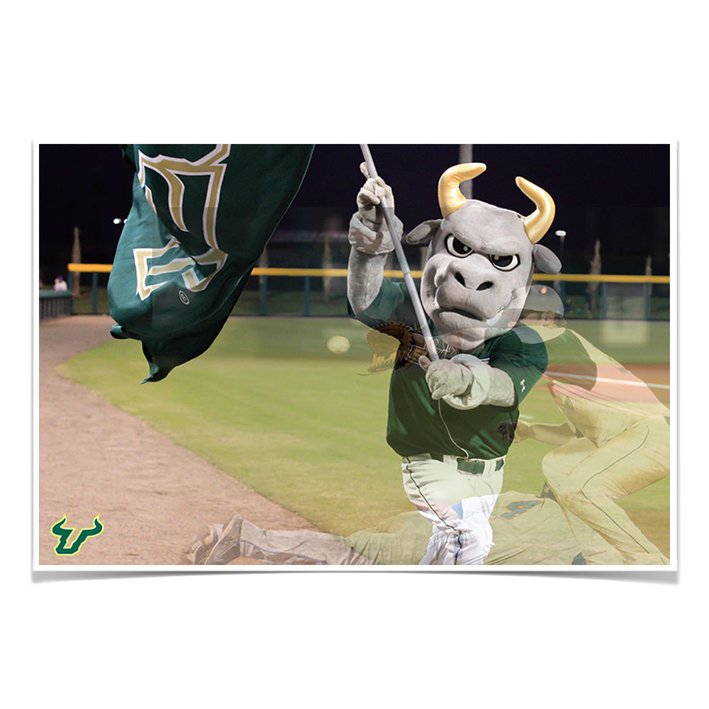 USF Bulls - Bulls Baseball - College Wall Art #Canvas