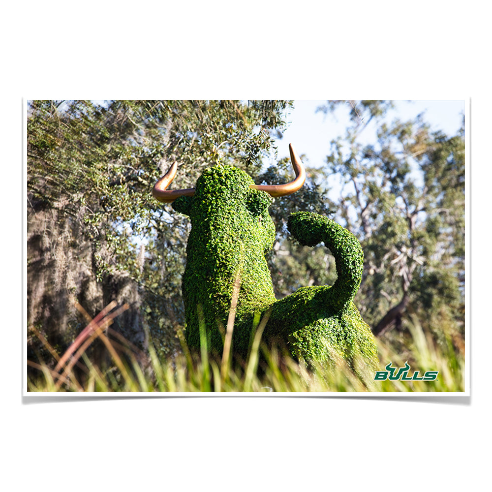 USF Bulls - Bull Watch - College Wall Art #Canvas