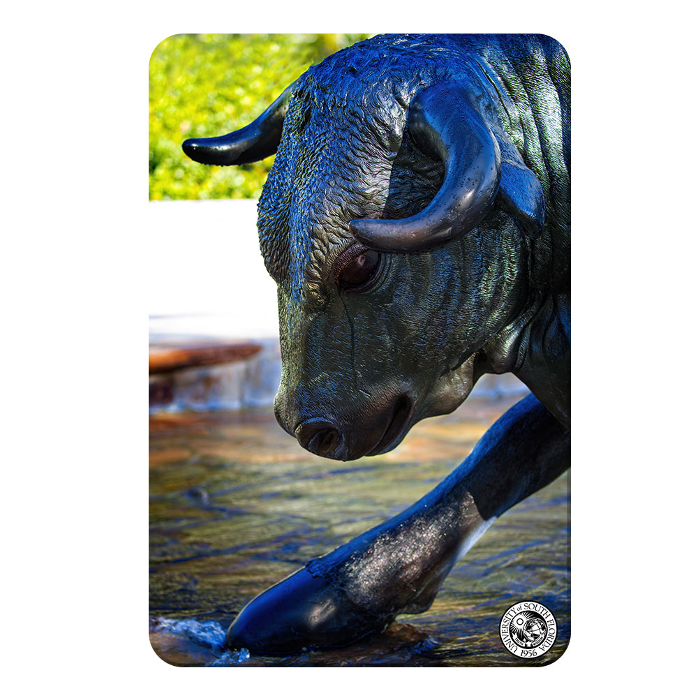 USF Bulls - Bulls statue close up w seal - College Wall Art #Canvas