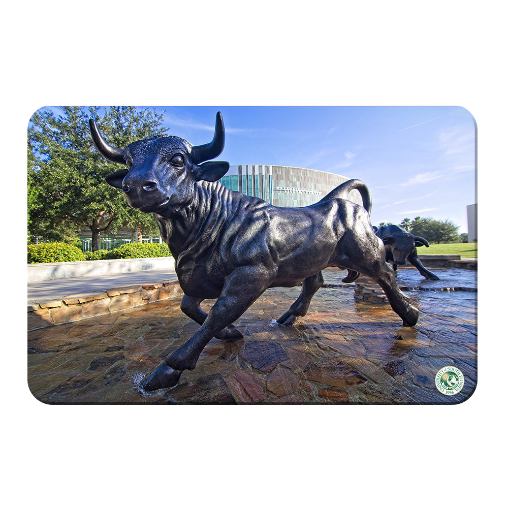 USF Bulls -Mashal Student Center - College Wall Art #Canvas 