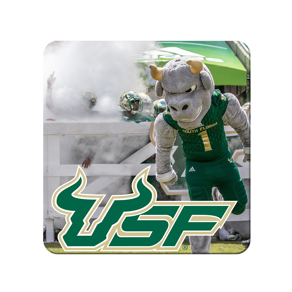 USF Bulls - USF Bulls Stampeed - College Wall Art #Canvas